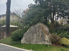 -新荣记(西溪湿地店)