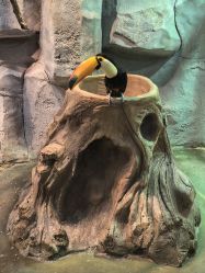 -Zoolung Zoolung动物主题公园(海信广场店)