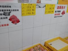 -老袁家蜜桃农场·阳山水蜜桃