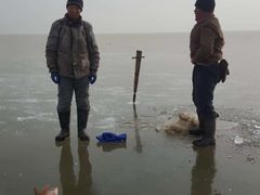 -呼兰河口湿地公园