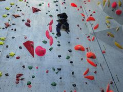 -尽峰攀岩 Acme Climbing