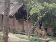 -无锡动物园·太湖欢乐园
