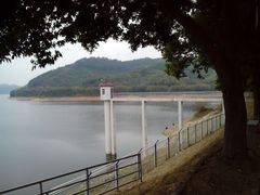 android_upload_pic-桃园美食(水库路店)