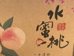 -老袁家蜜桃农场·阳山水蜜桃