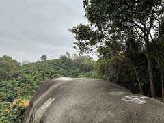 -阳台山森林公园