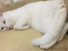 -柯达数码影像(淮海路店)