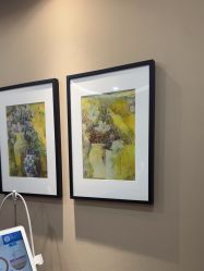 -厦门美莱整形美容医院