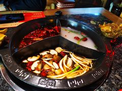 奔驰锅底-蜀大侠火锅(森兰花园城店)