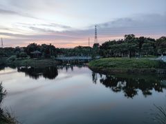 -王借岗森林公园