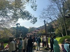 -中国茶叶博物馆(双峰馆区)