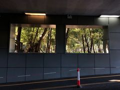 -福田红树林生态公园