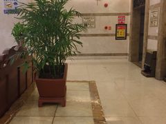 -汕头金乐大酒店