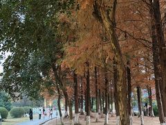 -白鹭湾湿地公园