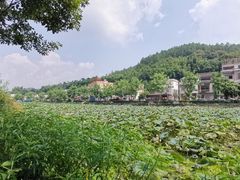 -红山村