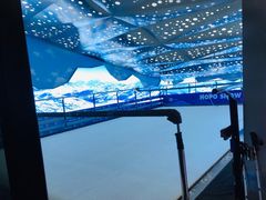 -Hopo Snow 城市滑雪空间(滨江宝龙城店)