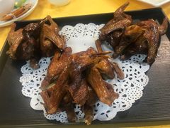 -鸽王世家(东华东路店)