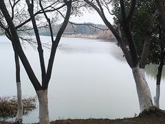 -沙家浜风景区