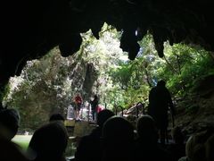 -怀托摩萤火虫洞