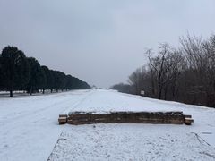 -秦始皇帝陵博物院-丽山园