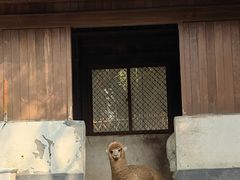 -临平公园(临平街道)