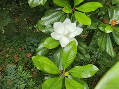 -宝界山林公园