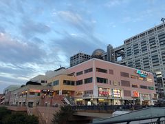 -台场海滨公园船码头