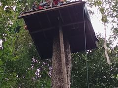 -西双版纳原始森林公园