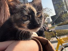 -嘉馨宠物医院·CT影像转诊·心脏科·犬猫全科诊疗中心(下沙大学城院区)