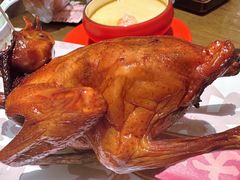 -大鸽饭(岗顶店)