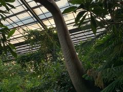 -呀路古热带植物园