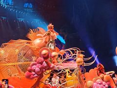 -广州长隆国际大马戏