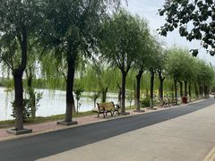 -杨柳青庄园