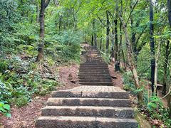 -紫金山山顶公园