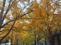 -四川大学(华西校区)