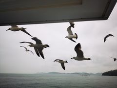 -海驴岛(荣成市)