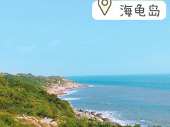 -广东惠东海龟国家级自然保护区