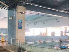 -晋爵会游泳馆(海湾公园店)