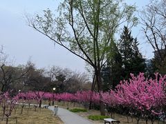 -玲珑塔公园