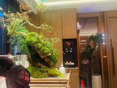 -双合园·海鲜水饺青岛菜(品牌首店)