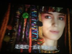 -武汉华夏国际影城(鲁广店)