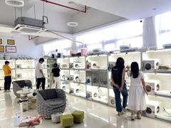 -lincat·猫舍(广州店)