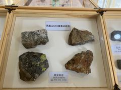 -凤凰山国家森林公园