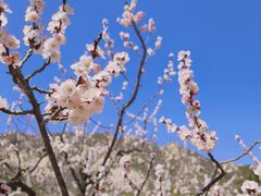 -北京凤凰岭