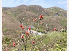 -大围山国家森林公园