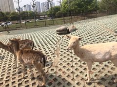 -常州淹城野生动物世界
