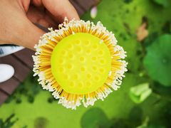 -武汉紫薇都市田园