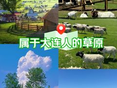 -三寰牧场
