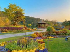 -南京银杏湖乐园