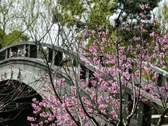 -南汇桃花村