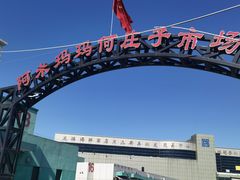 -何庄子阿米玛玛农产品批发市场